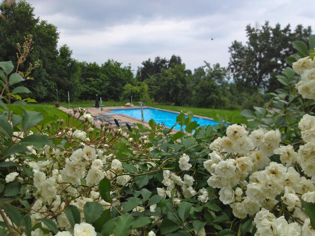 Agriturismo Famiglia Al Castello Di Bagnolo Bagnolo Piemonte 객실 사진
